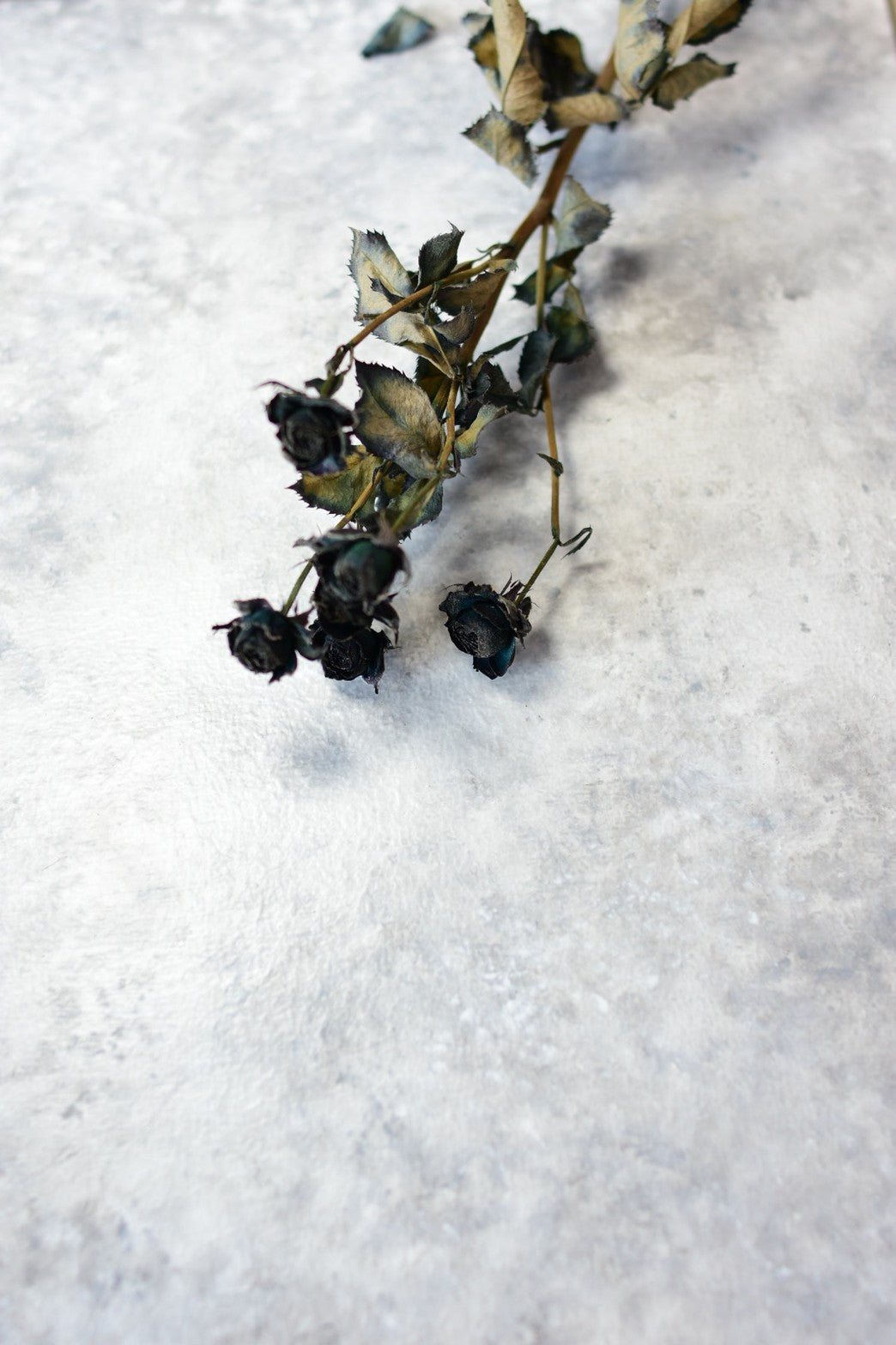 white & grayの美しいフォトボード